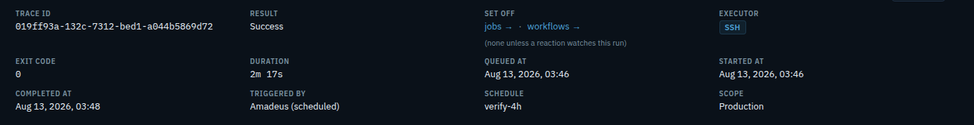 A run's expanded detail: trace ID, result, set-off links, executor, exit code, duration, queued, started and completed times, triggered by, schedule and scope